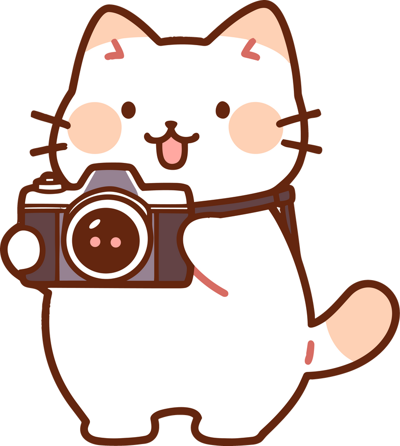 Domestic cat holding a camera