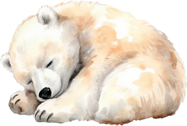 Cute polar bear watercolor illustration